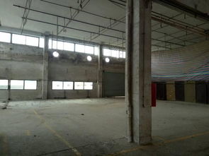 獨院單一層鋼構廠房